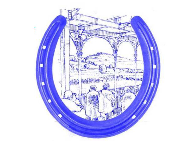 Ludlow Racecourse - Ludlow