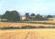 Rowley Farm - Farm - Shrewsbury