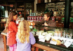 Blists Hill Victorian Chesmist Shop