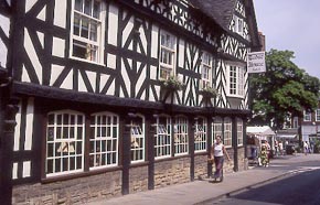 Black and White Magpie buidings