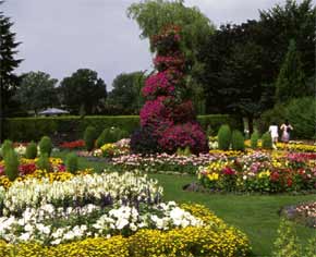 Cae Glas Park, Oswestry